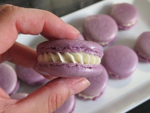 Black Cherry Macaron 306X230