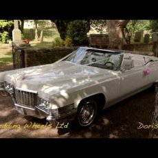 Cadi Doris 230X230