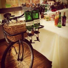 Gin Wizz Bike 2 230X230
