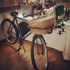 Gin Wizz Bike 230X230