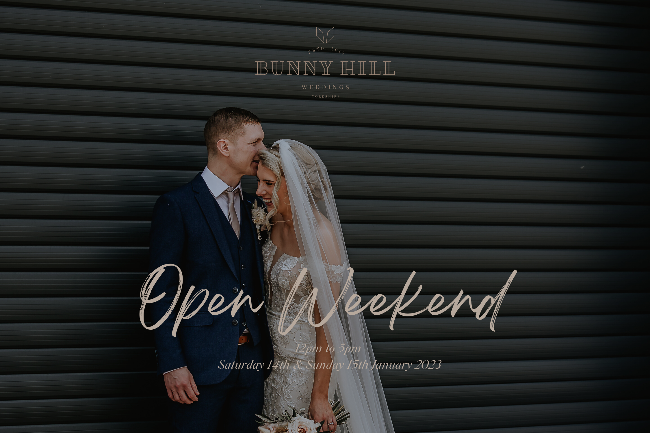 January Open Weekend Event Banner
