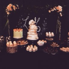 Liggys Wedding 230X230