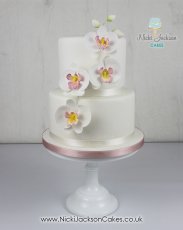 Mums Moth Orchid Cake 183X230