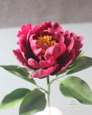 Open Peony Angled View 184X230