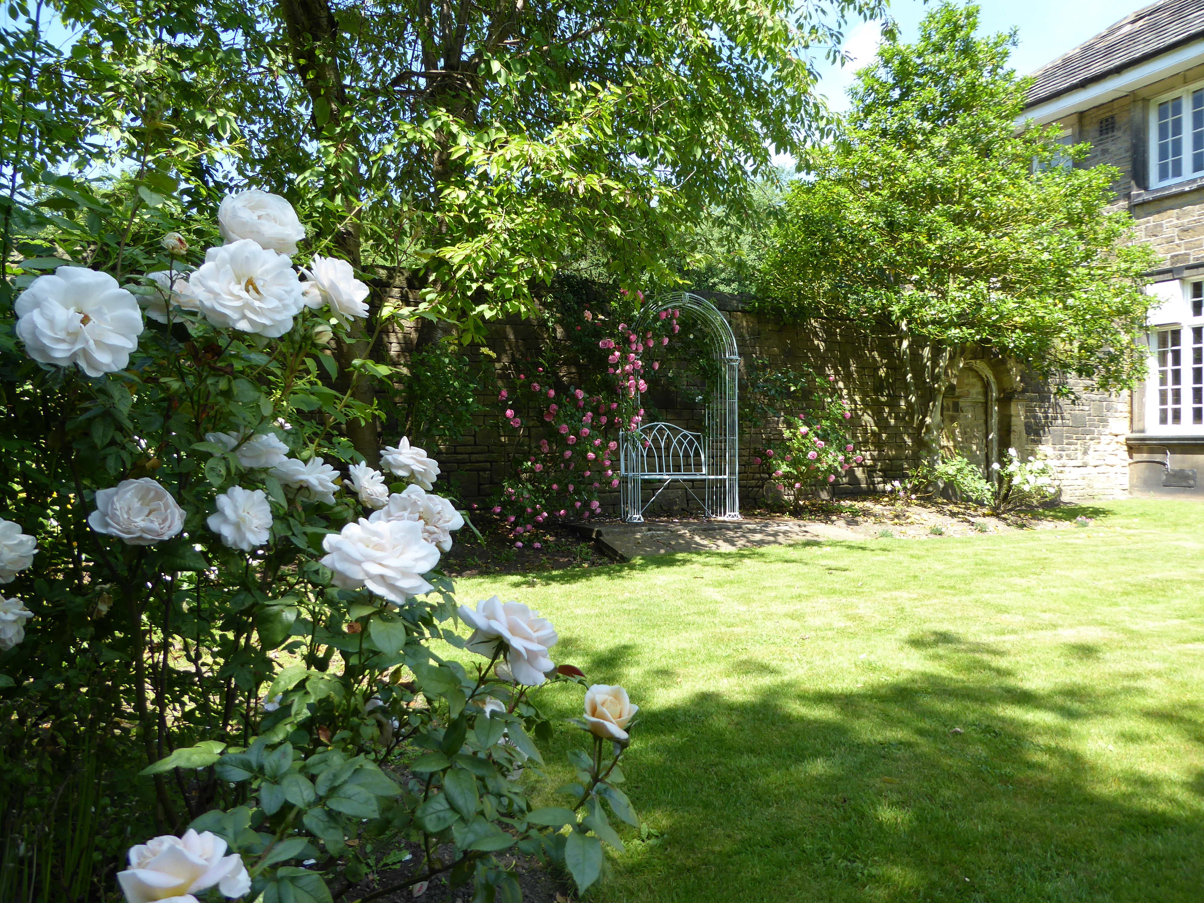 Photo1