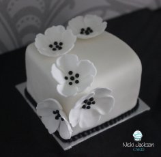 White Black Top Angle 236X230