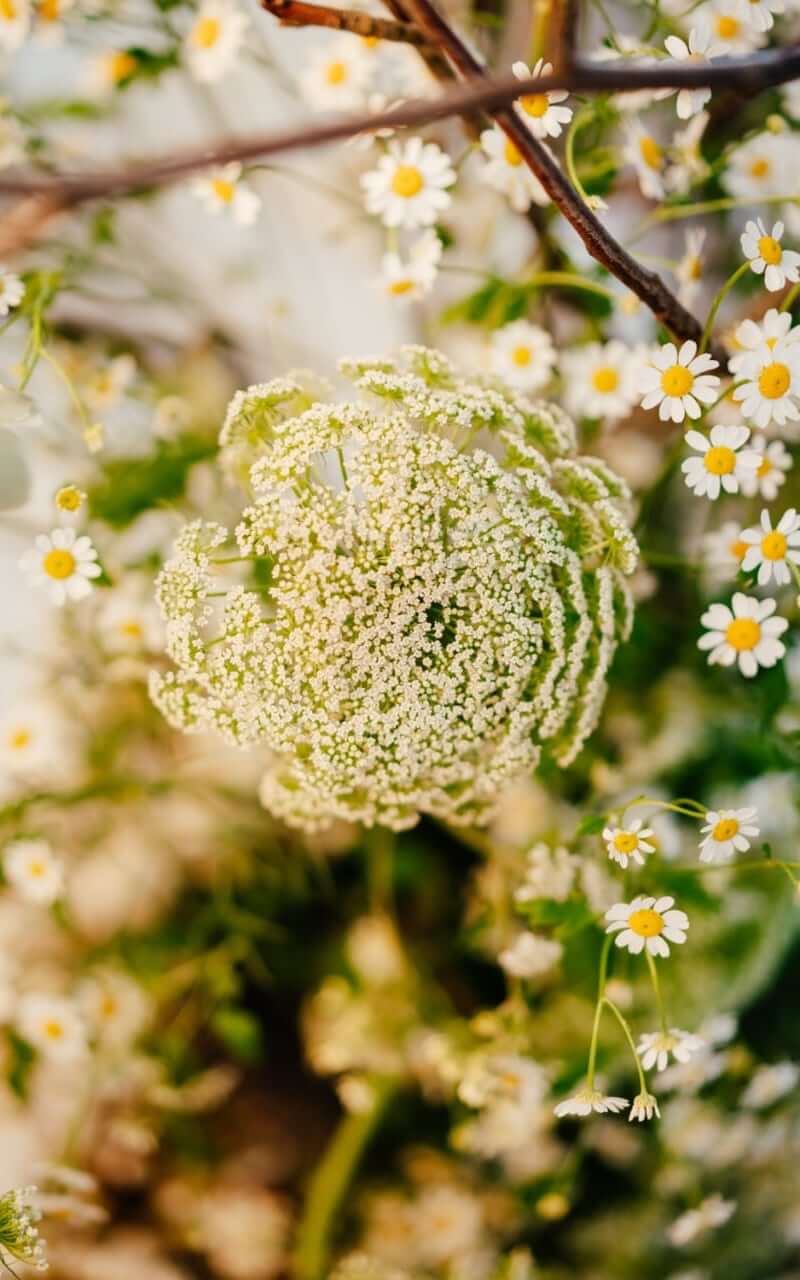Fonthill Estate Styled Shoot Angela Ward Brown 21 - Top Questions To Ask When Choosing Your Wedding Florist Fonthill Estate Styled Shoot Angela Ward Brown 21 - Top Questions To Ask When Choosing Your Wedding Florist Gay Wedding Guide