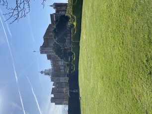 Raised Lawn