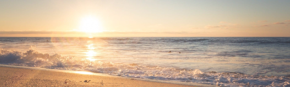 User Banner Image
