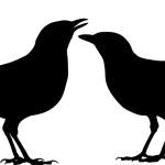 Chapel House Blackbirds Logo Black Uwp Avatar Thumb - Uwp - Profile User Avatar