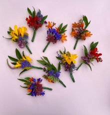 Colourful Buttonholes  220X230