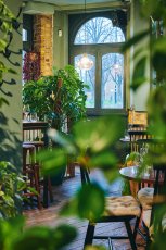 Romanticroomshotswithplants 132 153X230