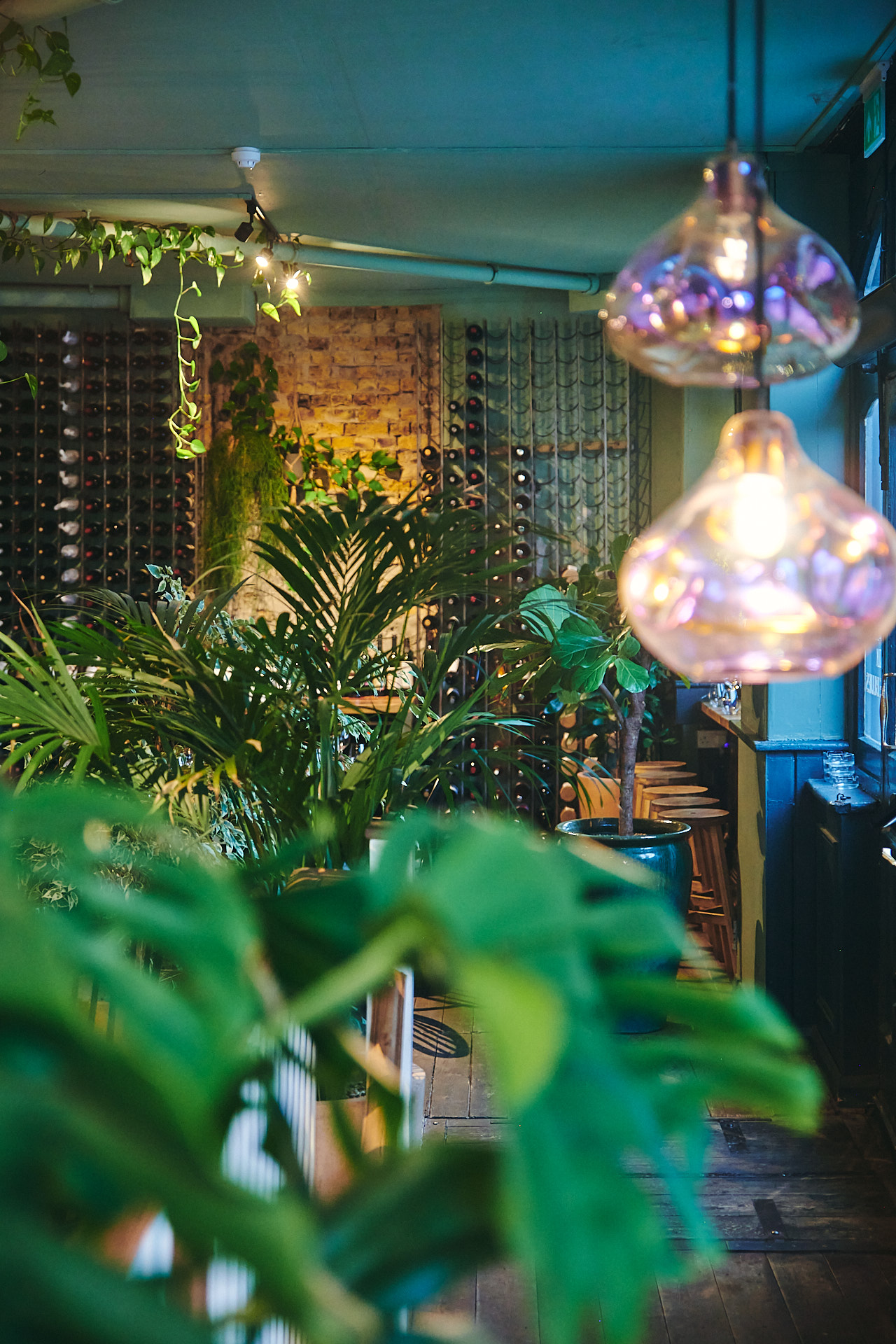 Romanticroomshotswithplants 139