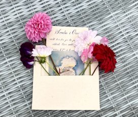 Sorcha Oisin Wild Flower Plantable Invitations 2 272X230