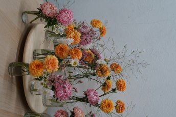 Dsc08709 344X230