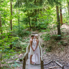 Wilderness Woods