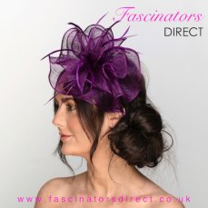 Hair Fascinators For Weddings 1 229X229