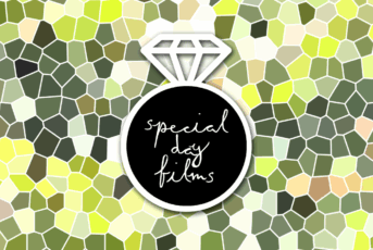 Sdf Weddings Logo For Social Media Landscape Smaller Logo 343X230