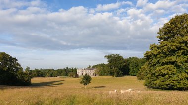 Templehouse Exterior Bluesky Sheep 380X213