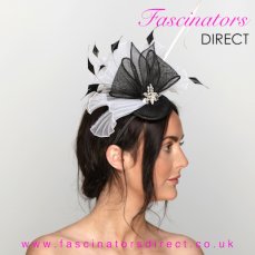 Wedding Fascinators 1 229X229