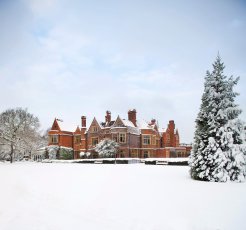 Wh Snow008 1 246X230