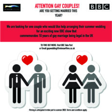 My Big Gay Wedding 2 230X230