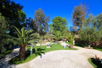Sculpture Garden 4 2 345X230