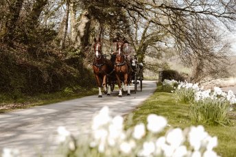 18 A Traditional Horse And Carriage For A Wedding Day At Pentillie Castle By Upart Photography 344X230