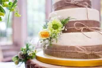 Cake 345X230