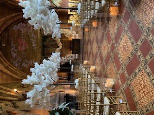 Michellesuttoncelebrant04 306X230