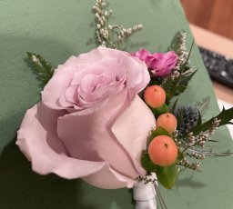 Img 4916 256X230