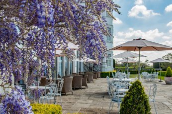 The Terrace Image 1 346X229