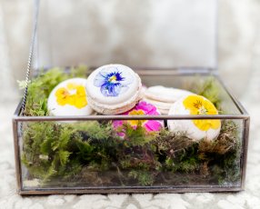 Secret Garden Elopement 005 286X230