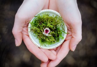 Secret Garden Elopement 081 332X230
