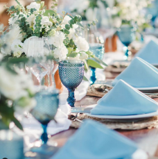 Ana Wedding 228X229