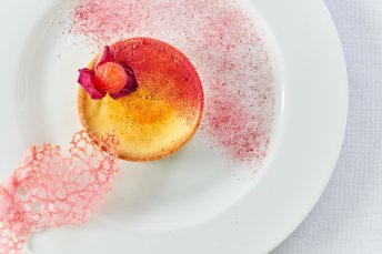 Pink Food Lores 004 344X229