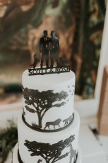 Cake Photo 153X230