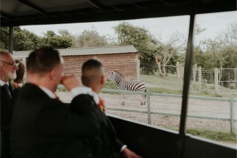 Safari 345X230