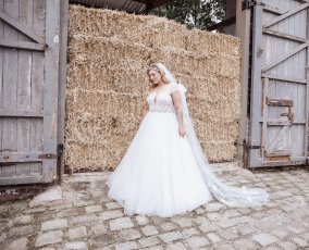 Website 61 284X230
