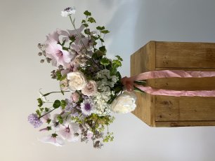 Img 0520 306X230