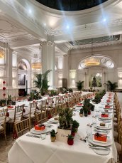 1901 Ballroom - Lov Leaf Plants