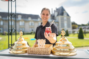 29 - Château De Jalesnes 29 345X230