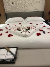 87C63Fe0 Ef43 4A0F B42A 105F6F098Ce9 173X230