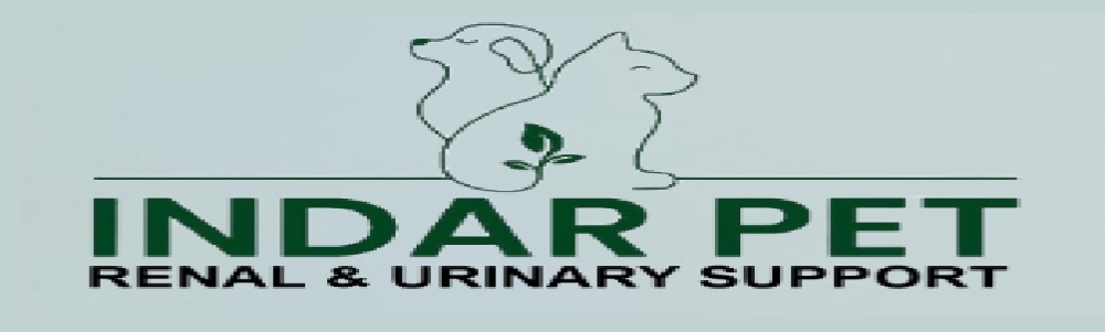 User Banner Image