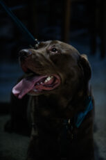 Jfp Cm 00309 153X230